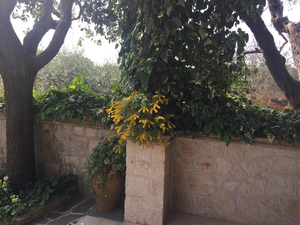 洛科罗通多 Il Trullo Di Nonno Angelo San Marco酒店 外观 照片