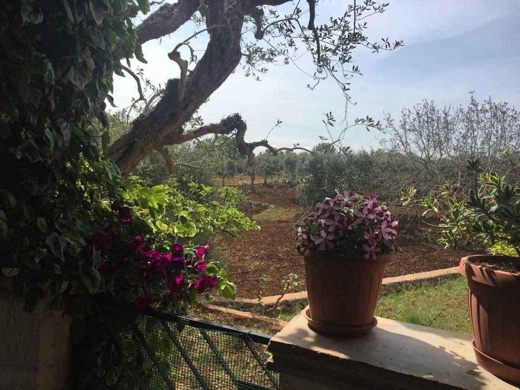 洛科罗通多 Il Trullo Di Nonno Angelo San Marco酒店 外观 照片