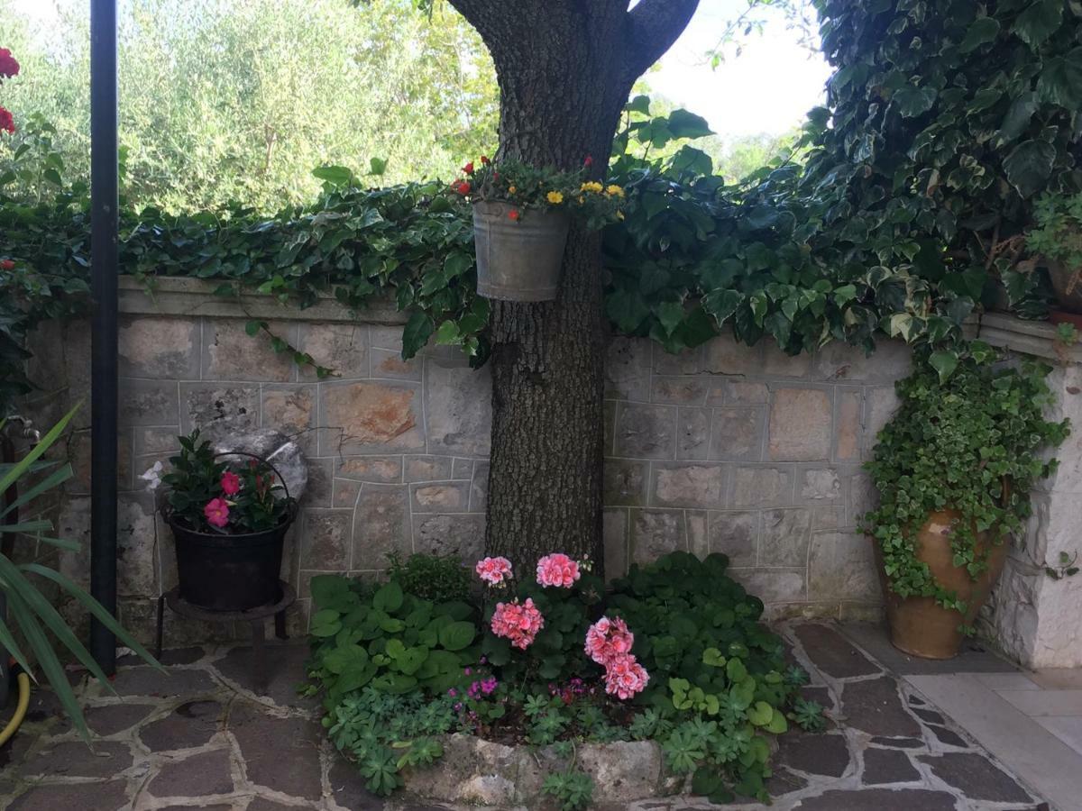 洛科罗通多 Il Trullo Di Nonno Angelo San Marco酒店 外观 照片